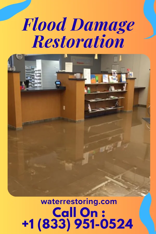 Flood Damage Restoration in Clayton, IL