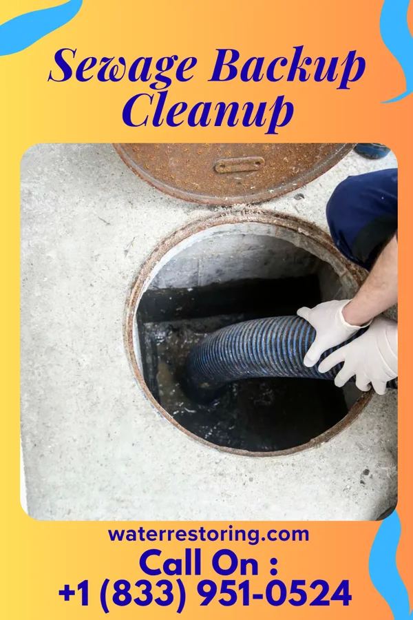 Sewage Backup Cleanup in Clayton, IL