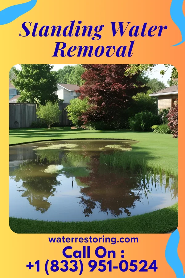 Standing Water Removal in Clayton, IL